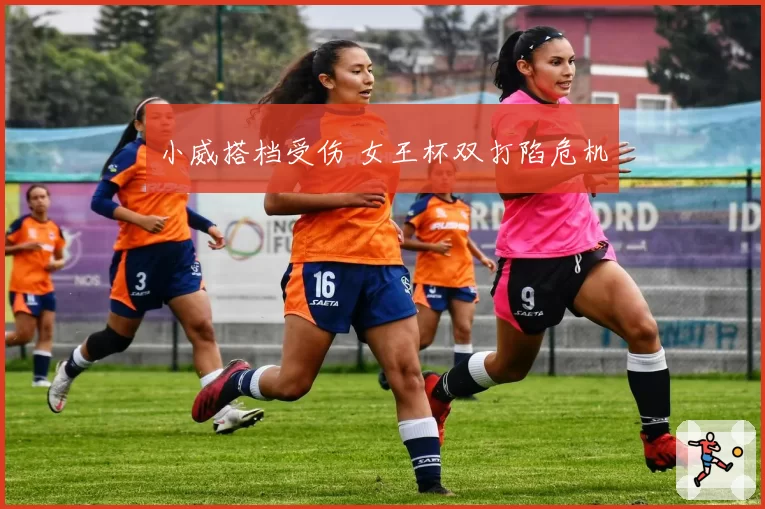 小威搭档受伤 女王杯双打陷危机