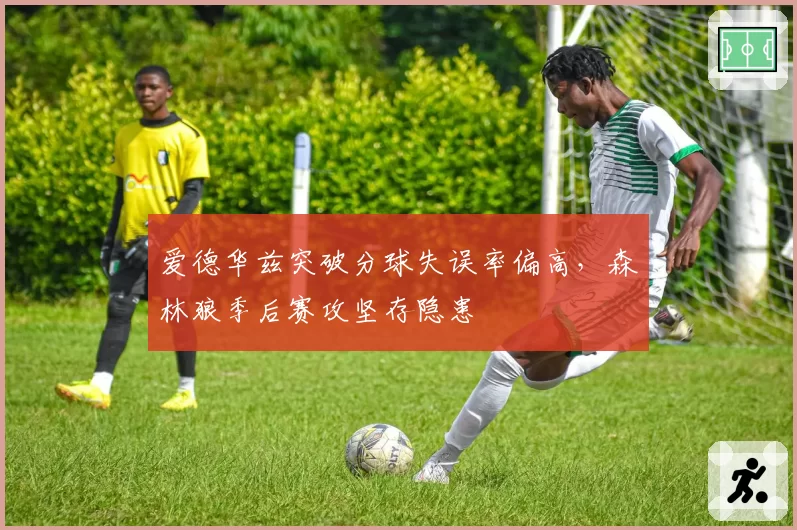 爱德华兹突破分球失误率偏高，森林狼季后赛攻坚存隐患